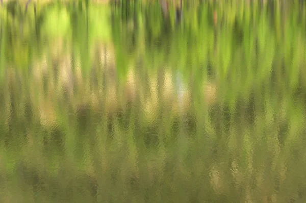 Texture water reflection forest — Stock Photo, Image