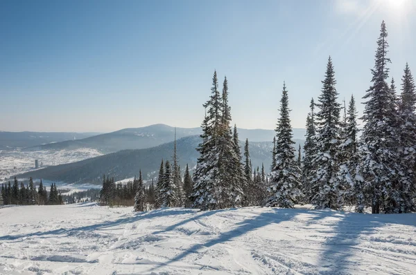 Vue du sommet ciel de montagne épicéa — Photo