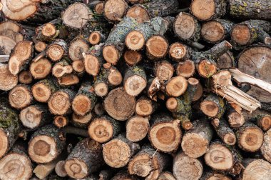 Yakacak odun yığını