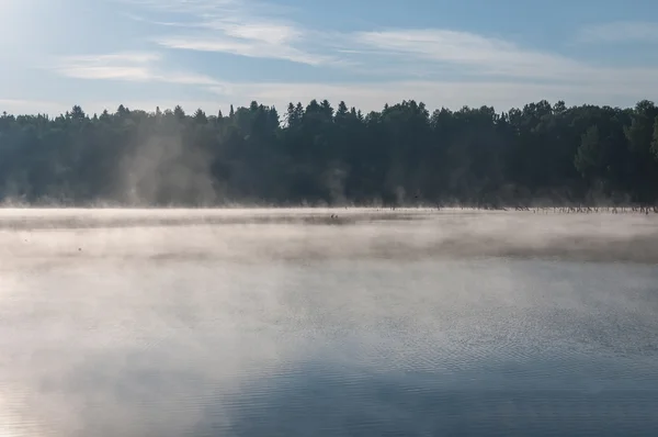 Lago nebbia foresta — Foto Stock