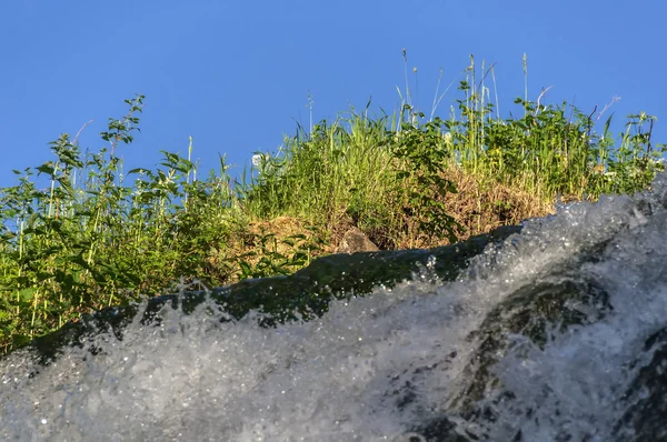 Waterval stream gras — Stockfoto