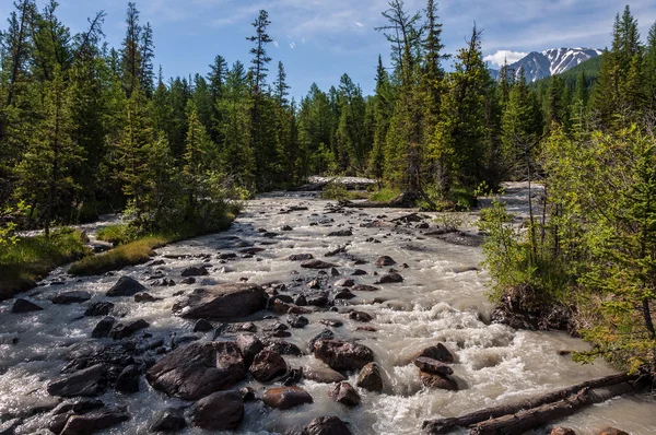 Floden stenar skog berg — Stockfoto