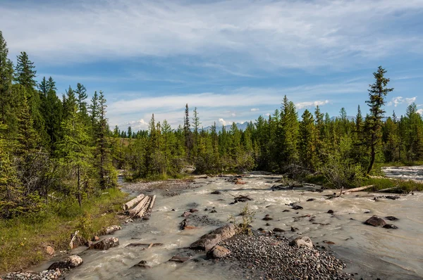 Floden stenar skog berg — Stockfoto