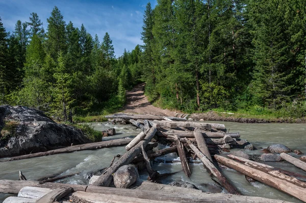 River bridge forest mountain — Stock Photo, Image