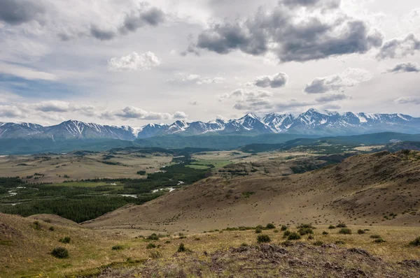 Berg heuvels Bossteppe — Stockfoto