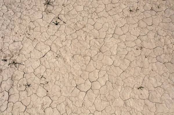 Grietas en el desierto —  Fotos de Stock