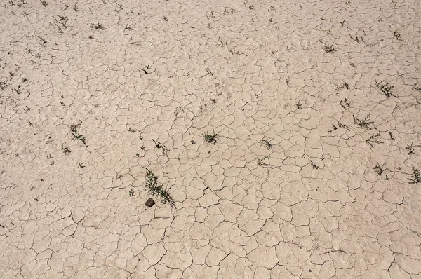 砂漠の地面の亀裂 — ストック写真