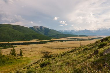 dağ Vadisi orman meadows 