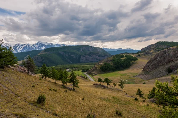 Montagna fiume foresta valle — Foto Stock