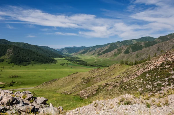 Mountain valley skog ovanifrån — Stockfoto