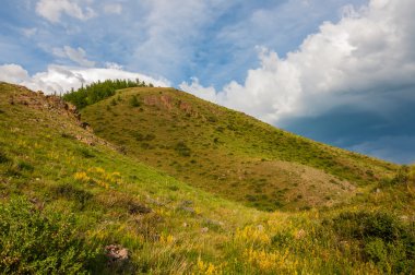 dağlar tepeler Vadisi orman