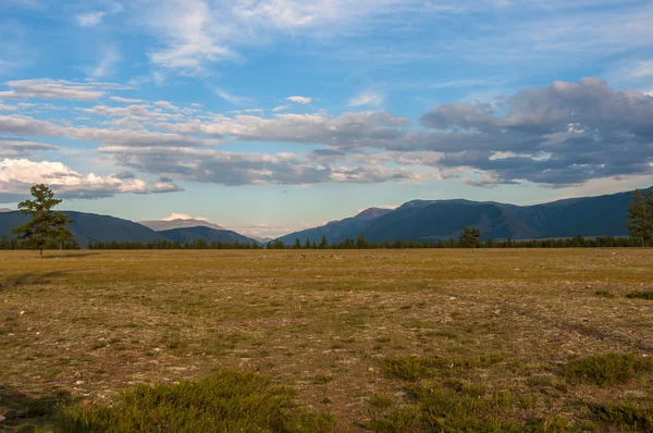 Mountain steppe forest sky — Stock Photo, Image