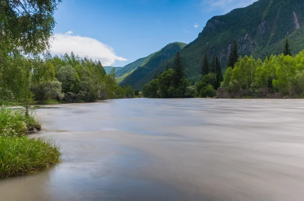 Berg rivier bos bomen — Stockfoto