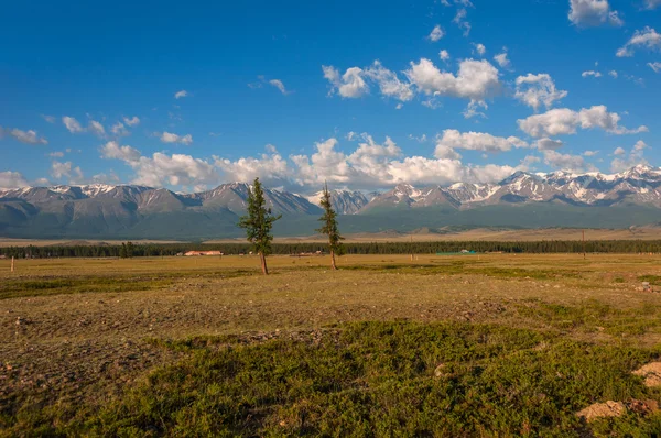 Mountain snow forest valley steppe — Stock Photo, Image