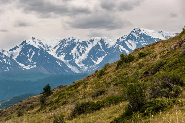 Mountain snow forest valley — Stock Photo, Image