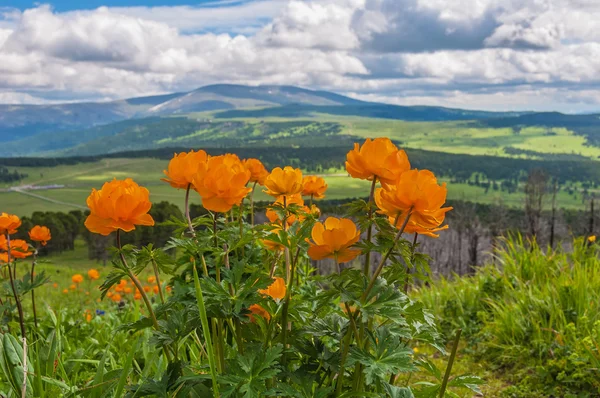 Flores nuvens de montanha — Fotografia de Stock