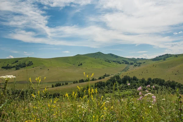 Verão verde paisagem montanhosa — Fotografia de Stock