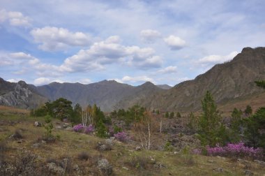Ağaçlar, macenta çalılar, mavi gökyüzü ve clou dağ manzarası