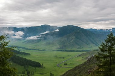 Dağ Vadisi orman meadows yol sis Üstten Görünüm 