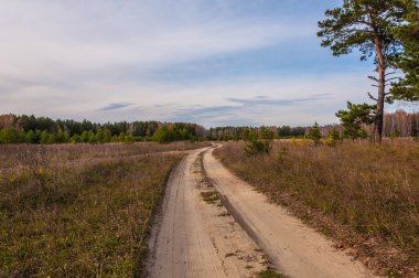 Toprak yol alanları sonbahar manzara orman
