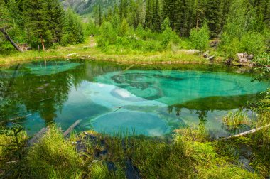 Lake Forest'ta turkuaz dağ