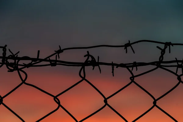 Steel mesh barbed wire fence sunset — Stock Photo, Image