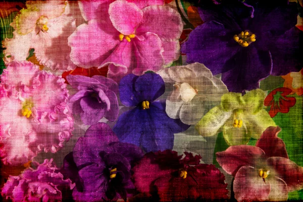 Violet flowers colorful background grunge — Stock Photo, Image