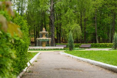 Çeşme park sokak çay çalılar 