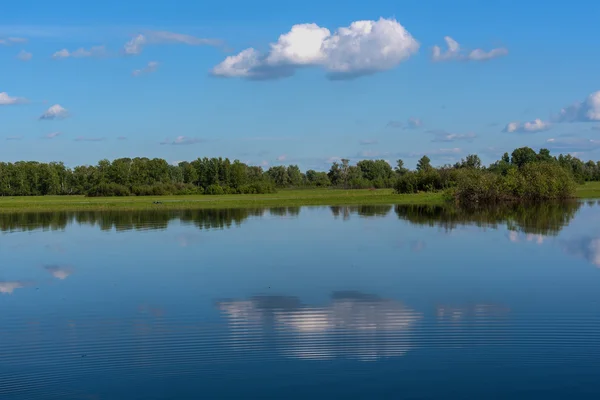 Jezero reflexe mraky sky stromy — Stock fotografie