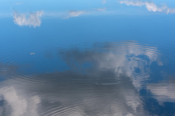 Abstract natural background of the lake water, the reflections of the sky and clouds, circles on the water and beautiful small waves