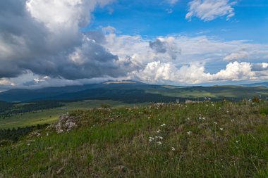 dağ Vadisi orman gökyüzü