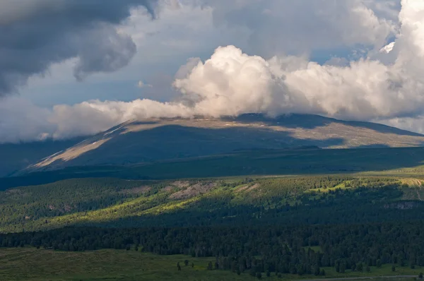 Bergdal bos hemel — Stockfoto