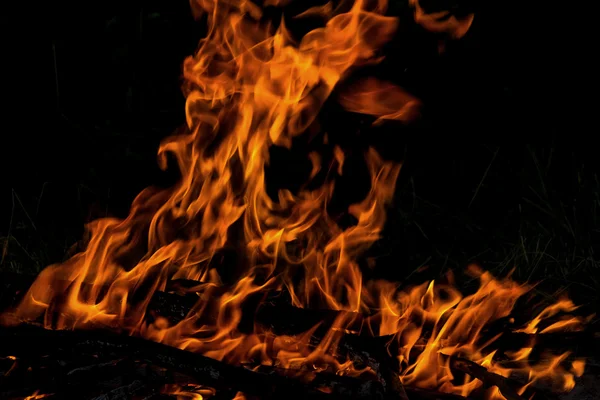 Fuego llama hoguera chorros — Foto de Stock