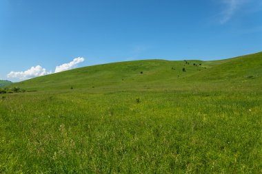 dağlar tepeler sky çayır