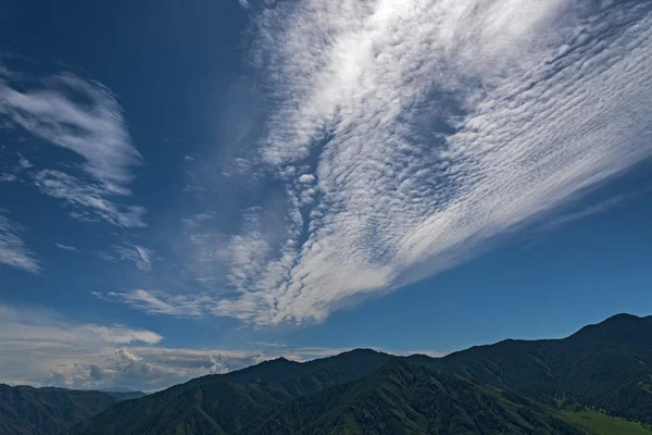 Mountain sky clouds forest — Stock Photo, Image