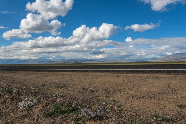 Weg steppe bergen asfalt — Stockfoto