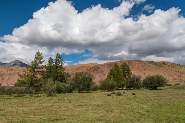 Berge Bäume rote Steine Himmel — Stockfoto