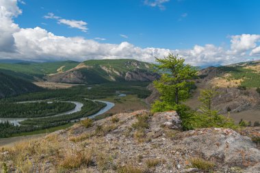 dağlar Nehri Vadisi orman bulutlar