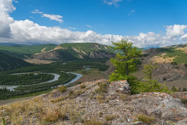 Montagne valle del fiume foresta nuvole — Foto Stock