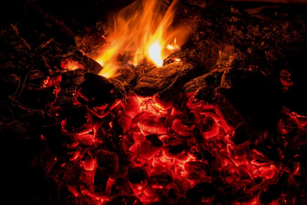 Fogata de carbón fuego — Foto de Stock