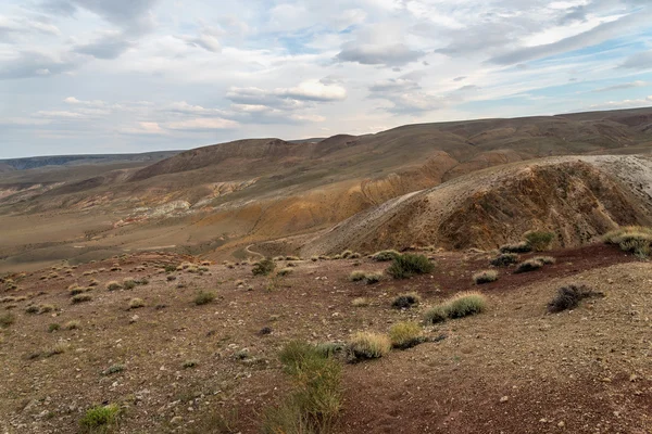 Montañas estepa desierto superior Fotos de stock libres de derechos