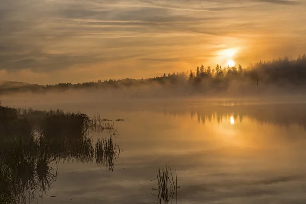 水に木の美しい反射が湖の上をカラフルな明るい黄金日の出 — ストック写真