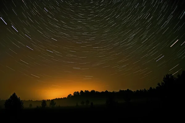 Estrellas pistas cielo bosque —  Fotos de Stock