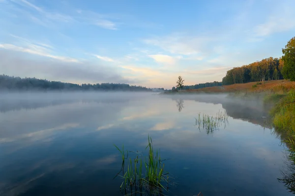 Lac lever du soleil brouillard reflet arbre — Photo