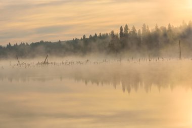 Göl gündoğumu sis şeftali