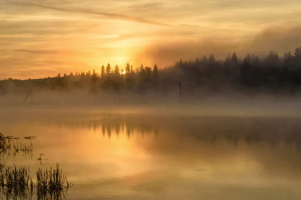 Sjön sunrise dimma golden — Stockfoto