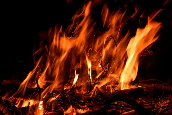 炎のたき火の噴出を火します。 — ストック写真