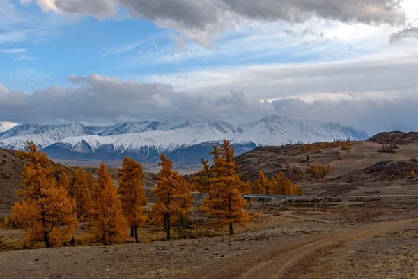 Hory podzimní sněhu stromy modřín — Stock fotografie