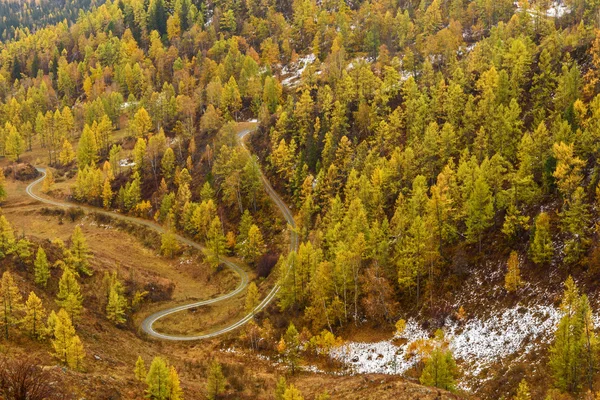 山谷の秋霧のトップ ビュー — ストック写真