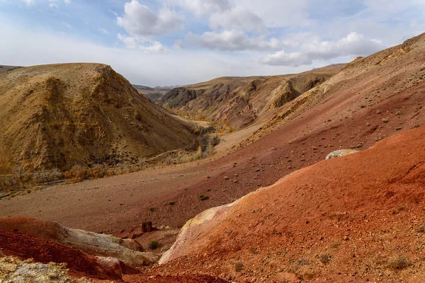 Bergen steppe woestijn kleur — Stockfoto